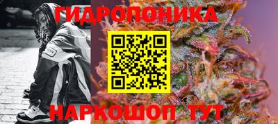 сатива Волгодонск