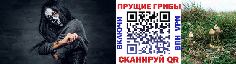 закладки  Грязи  Галлюциногенные грибы ЛСД 