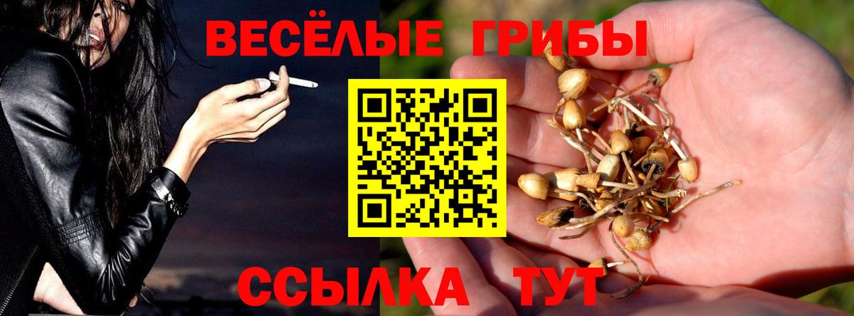 Грязи  Галлюциногенные грибы MAGIC MUSHROOMS  Псилоцибиновые грибы ЛСД  Вход с VPN 